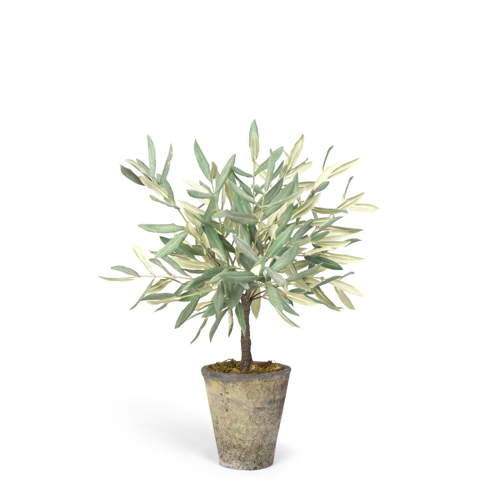 Small Faux Olive Tree In Ceramic Pot Claire Garner Interiors